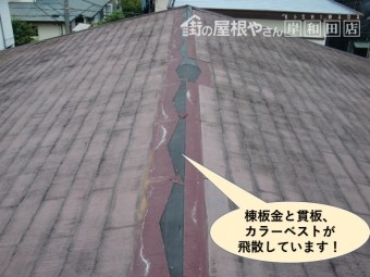 泉大津市の棟板金と貫板、カラーベストが飛散