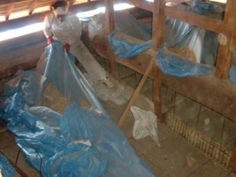 岸和田市土生町の小屋裏清掃