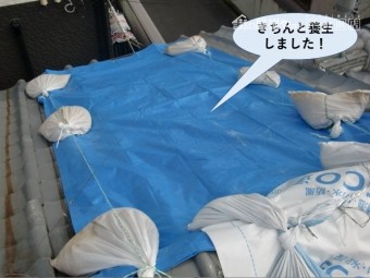 泉佐野市の屋根をきちんと養生しました