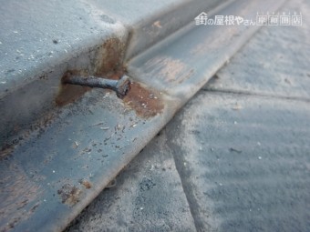 泉大津市の屋根の棟板金の釘