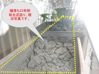 和泉市の雨樋詰まり状況