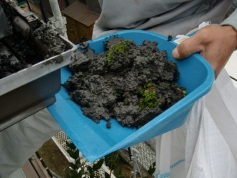 岸和田市尾生町の雨樋清掃