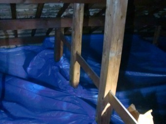 岸和田市土生町の屋根葺き替えに伴う小屋裏養生