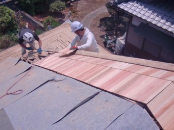 岸和田市土生町の杉の無垢材を張っています!