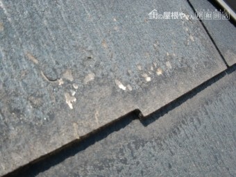 岸和田市加守町の蘇ったスレート板葺きの屋根塗装