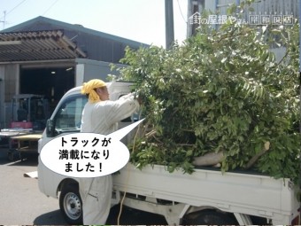 岸和田市で伐採した木でトラックが満載になりました