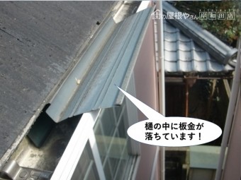 和泉市の雨樋の中に板金が落ちています