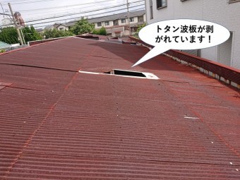貝塚市のトタン波板がめくれています