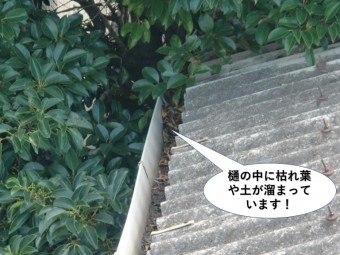 岸和田市の樋の中に枯れ葉や土が詰まっています
