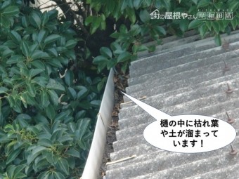 岸和田市の樋の中に枯れ葉や土が詰まっています
