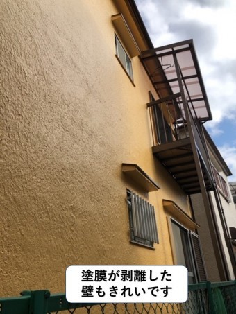 泉南市の外壁の塗膜が剥離した壁もきれいです
