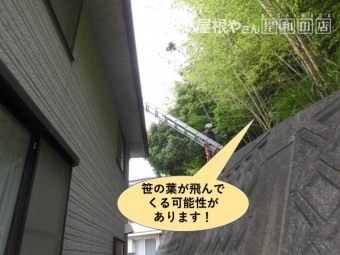 和泉市の屋根に笹の葉が飛んでくる可能性があります