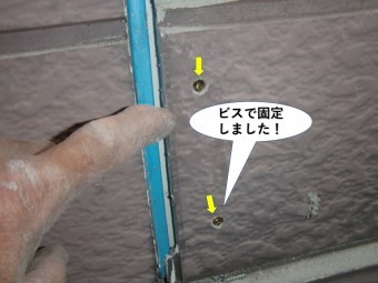 和泉市のサイデイングをビスで固定