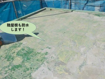泉佐野市の陸屋根も防水