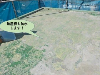 泉佐野市の陸屋根も防水