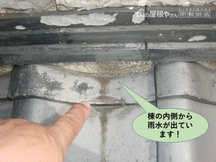 岸和田市の屋根の棟の内側から雨水が出ています!