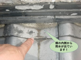 岸和田市の屋根の棟の内側から雨水が出ています!