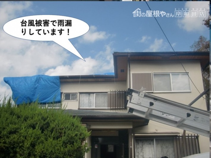 和泉市の住宅で台風被害で雨漏り発生