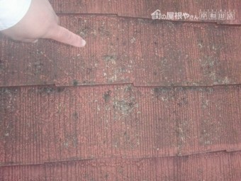 岸和田市上松町でスレート屋根の葺き替え工事着工 現況