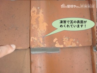 岸和田市の屋根で凍害で瓦の表面がめくれています