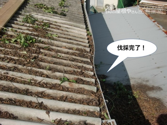 岸和田市の木の伐採完了