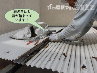 岸和田市の波板の継ぎ目にも苔が詰まっています!