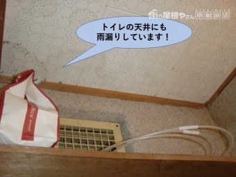 岸和田市の一階のトイレの天井にも雨漏りしています