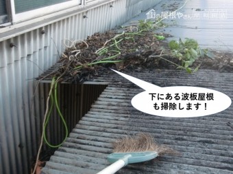 岸和田市の倉庫の下にある波板屋根も清掃