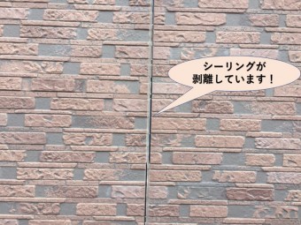岸和田市の外壁の目地のシーリングが剥離しています