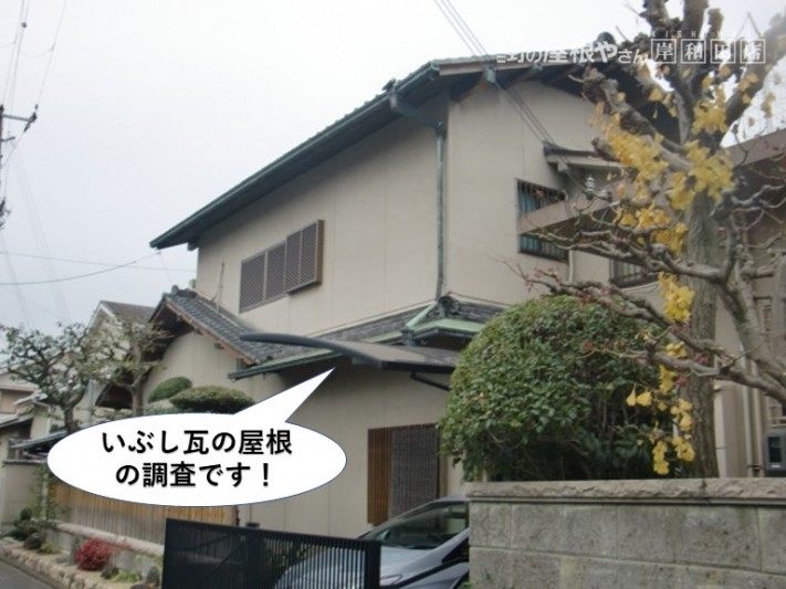 熊取町のいぶし瓦の屋根の調査です