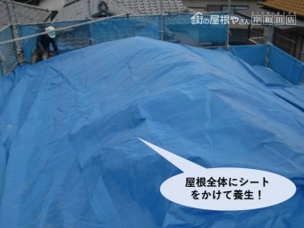 岸和田市の屋根全体のシートをかけて養生