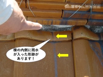 熊取町の棟の内側に雨水が入った形跡があります