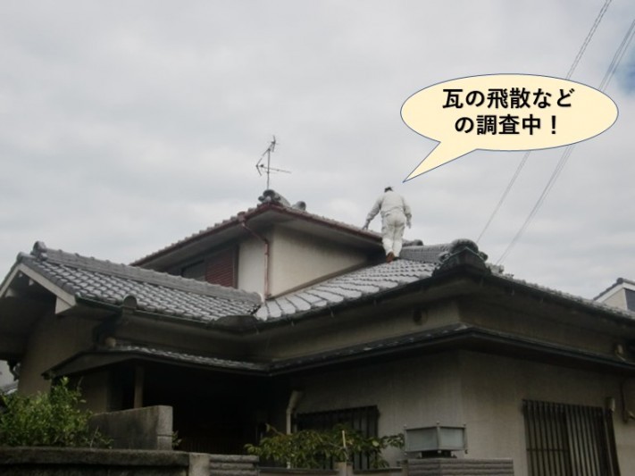 貝塚市の瓦の飛散などの調査