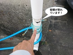 1a34e3ba39353e1ebc4a43a75619e940-3-before