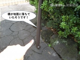 貝塚市の樋が地面に落ちていたそうです