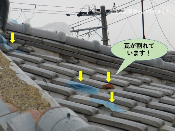 泉南市の瓦が割れています