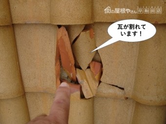 和泉市の瓦が割れています