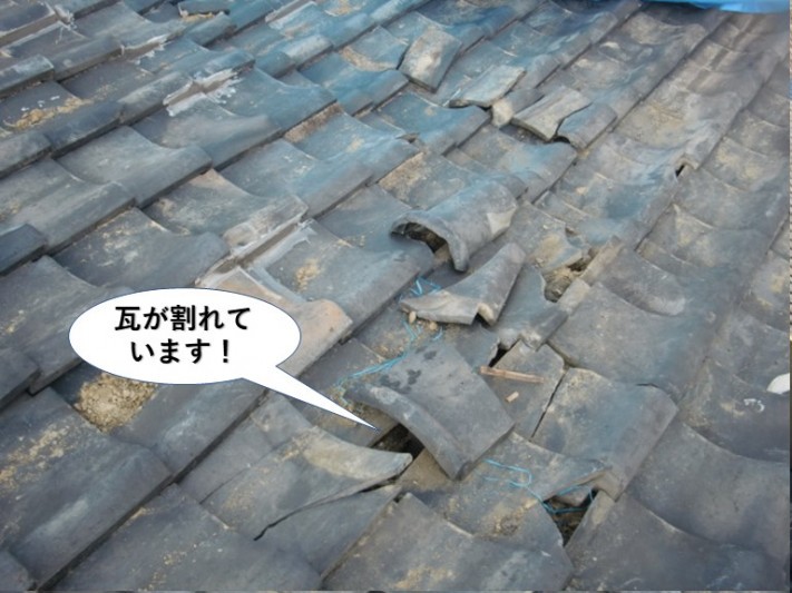 和泉市の瓦が割れています