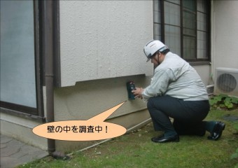 泉北郡忠岡町で壁の中を調査中!