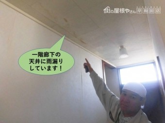 泉南郡岬町の一階廊下の天井に雨漏りしています