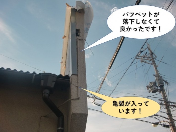 泉北郡忠岡町のパラペットの被害状況