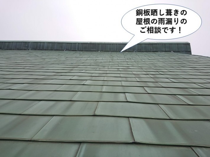 岸和田市の銅板晒し葺きの屋根の雨漏り調査