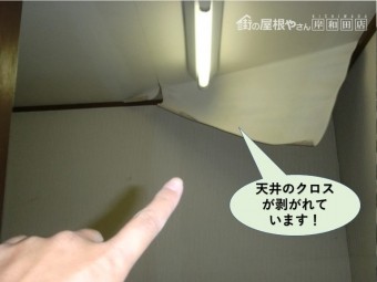 和泉市の天井のクロスが剥がれています