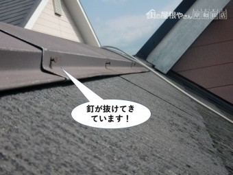 和泉市の板金の釘が抜けてきています