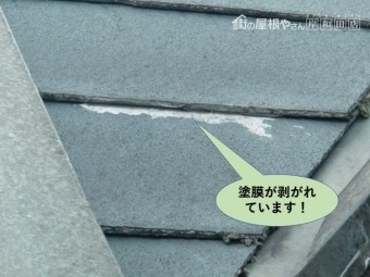 和泉市の屋根の塗膜が剥がれています