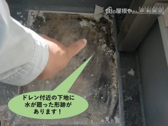 貝塚市のベランダのドレン付近の下地に水が廻った形跡があります