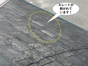 忠岡町のスレートが剥がれています