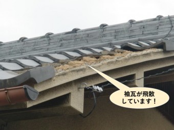 貝塚市の袖瓦が飛散