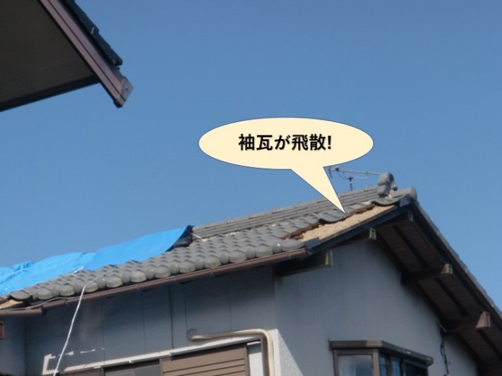 阪南市の袖瓦が飛散