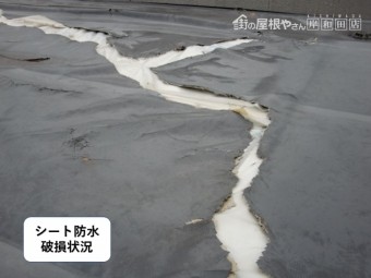 貝塚市の陸屋根のシート防水破損状況